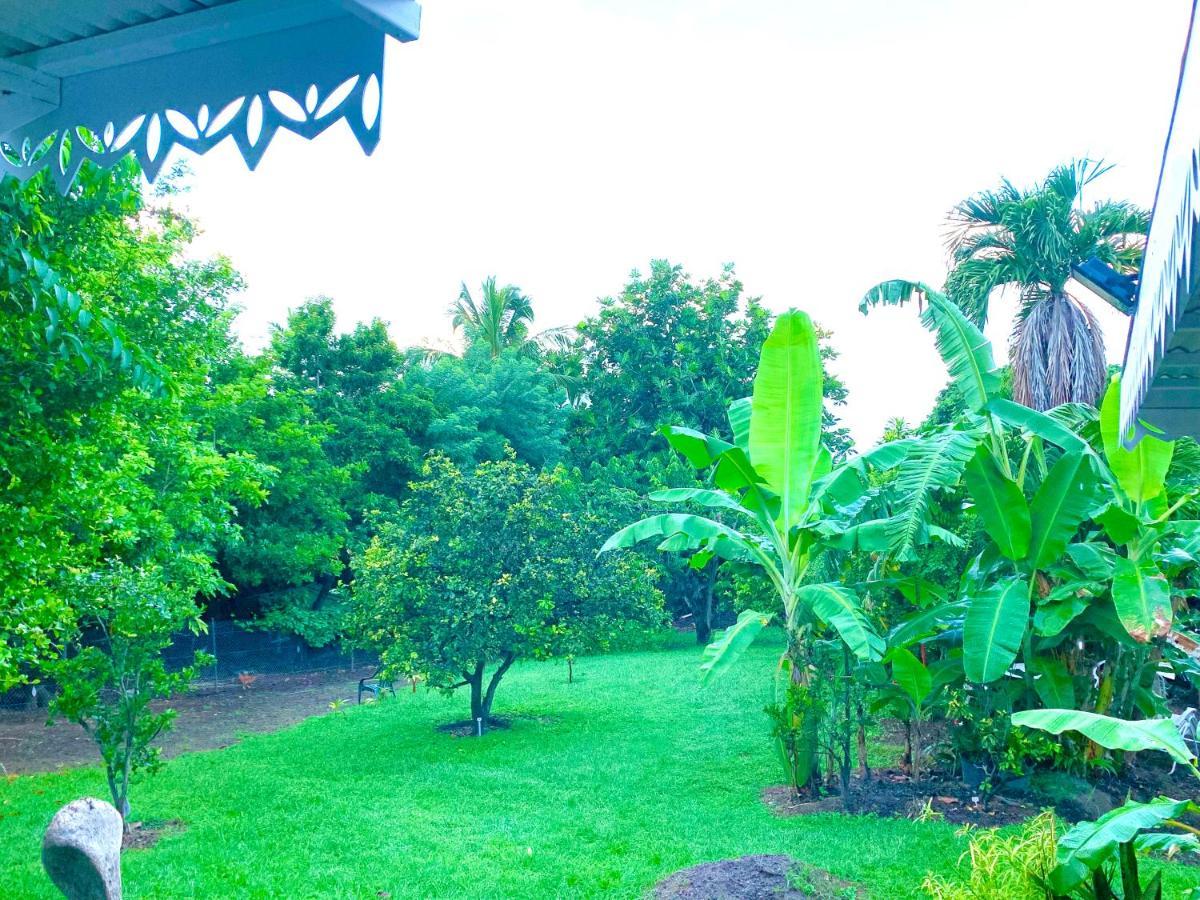 לה קברה Lodge Pamplemousse Avec Piscine Privative , Dans Parc Calme A 500 M Plage מראה חיצוני תמונה